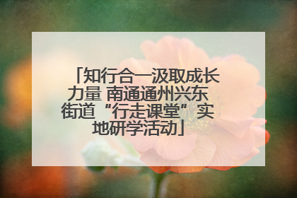 知行合一汲取成长力量 南通通州兴东街道“行走课堂”实地研学活动