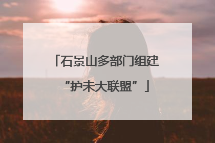 石景山多部门组建“护未大联盟”