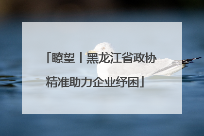 瞭望丨黑龙江省政协精准助力企业纾困