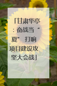 甘肃华亭：奋战当“夏” 打响项目建设攻坚大会战