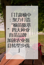 甘肃榆中：聚力打造“榆苗陇萃”四大种业育苗品牌 加速农业强县转型步伐