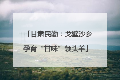 甘肃民勤：戈壁沙乡孕育“甘味”领头羊