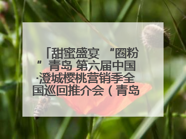 甜蜜盛宴 “圈粉”青岛 第六届中国·澄城樱桃营销季全国巡回推介会（青岛站）成功举办