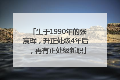 生于1990年的张宸珲，升正处级4年后，再有正处级新职