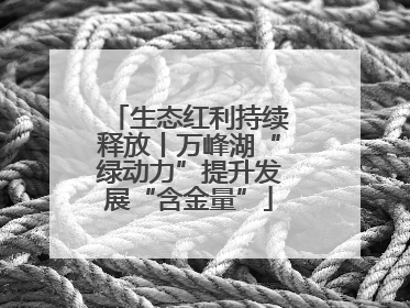 生态红利持续释放丨万峰湖“绿动力”提升发展“含金量”