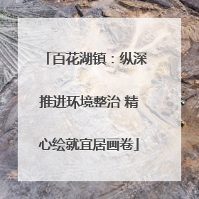 百花湖镇：纵深推进环境整治 精心绘就宜居画卷