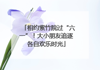 相约紫竹院过“六一”！大小朋友追逐各自欢乐时光