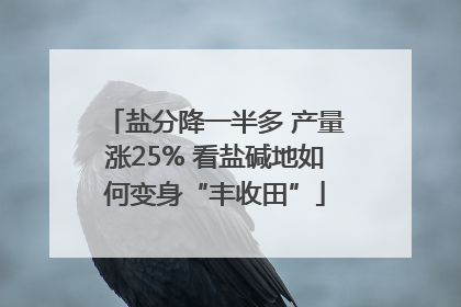 盐分降一半多 产量涨25% 看盐碱地如何变身“丰收田”