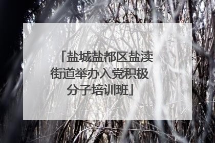 盐城盐都区盐渎街道举办入党积极分子培训班