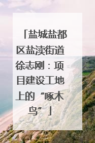 盐城盐都区盐渎街道徐志刚：项目建设工地上的“啄木鸟”