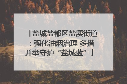 盐城盐都区盐渎街道：强化油烟治理 多措并举守护“盐城蓝”