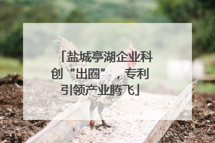 盐城亭湖企业科创“出圈”，专利引领产业腾飞