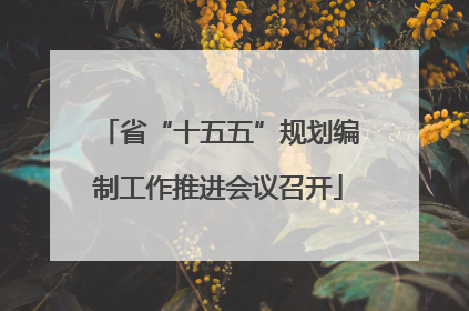 省“十五五”规划编制工作推进会议召开