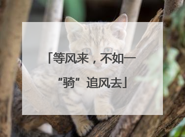 等风来，不如一“骑”追风去