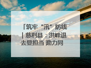 筑牢“汛”防线｜慈利县：洪峰退去显担当 勠力同心启新篇