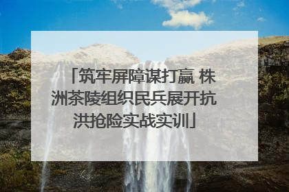 筑牢屏障谋打赢 株洲茶陵组织民兵展开抗洪抢险实战实训