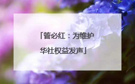 管必红：为维护华社权益发声