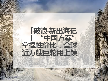 破浪·新出海记丨 “中国方案”拿捏性价比，全球近万艘巨轮用上镇江“节能桨”