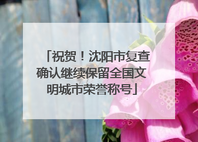 祝贺！沈阳市复查确认继续保留全国文明城市荣誉称号