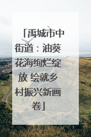 禹城市中街道：油葵花海绚烂绽放 绘就乡村振兴新画卷