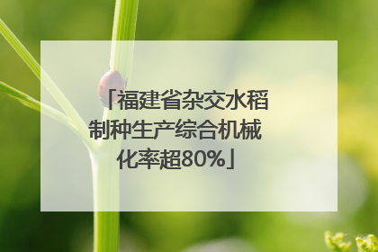 福建省杂交水稻制种生产综合机械化率超80%