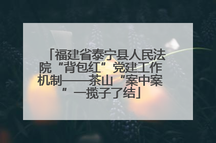 福建省泰宁县人民法院“背包红”党建工作机制——茶山“案中案”一揽子了结