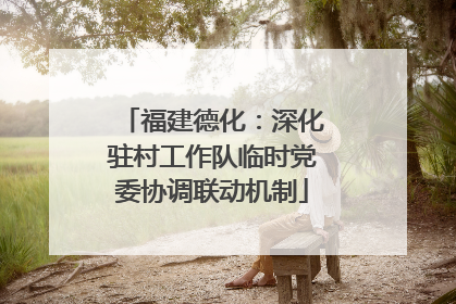 福建德化：深化驻村工作队临时党委协调联动机制