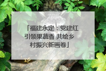福建永定：党建红引领果蔬香 共绘乡村振兴新画卷