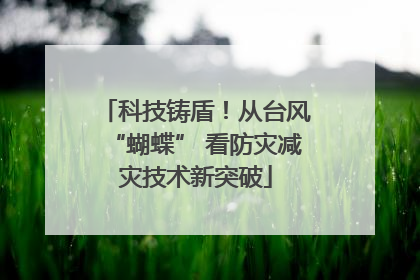 科技铸盾！从台风“蝴蝶” 看防灾减灾技术新突破