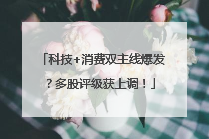 科技+消费双主线爆发？多股评级获上调！
