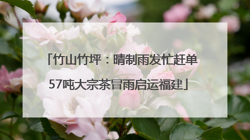 竹山竹坪：晴制雨发忙赶单 57吨大宗茶冒雨启运福建