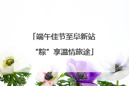 端午佳节至阜新站“粽”享温情旅途