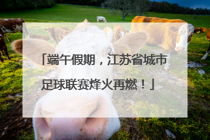 端午假期，江苏省城市足球联赛烽火再燃！