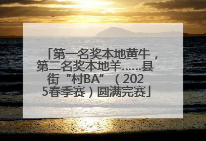 第一名奖本地黄牛，第二名奖本地羊……县街“村BA”（2025春季赛）圆满完赛
