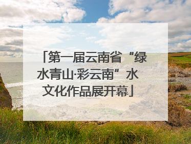 第一届云南省“绿水青山·彩云南”水文化作品展开幕
