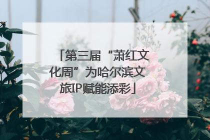 第三届“萧红文化周”为哈尔滨文旅IP赋能添彩