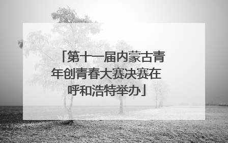 第十一届内蒙古青年创青春大赛决赛在呼和浩特举办