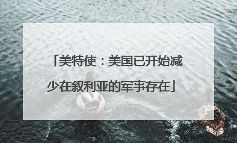 美特使：美国已开始减少在叙利亚的军事存在