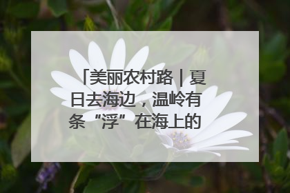 美丽农村路｜夏日去海边，温岭有条“浮”在海上的公路你去过吗？