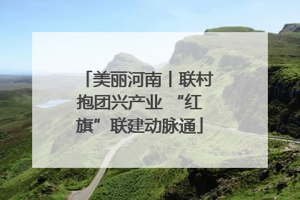 美丽河南丨联村抱团兴产业 “红旗”联建动脉通