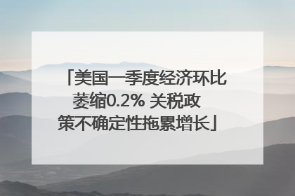 美国一季度经济环比萎缩0.2% 关税政策不确定性拖累增长