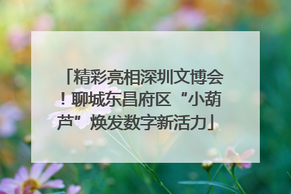 精彩亮相深圳文博会！聊城东昌府区“小葫芦”焕发数字新活力