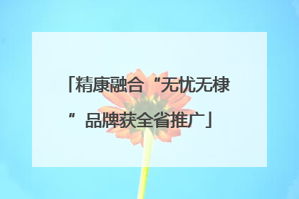 精康融合“无忧无棣”品牌获全省推广