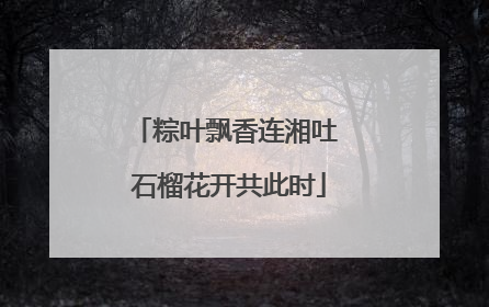 粽叶飘香连湘吐 石榴花开共此时