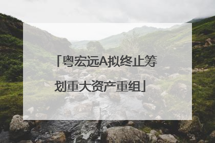 粤宏远A拟终止筹划重大资产重组