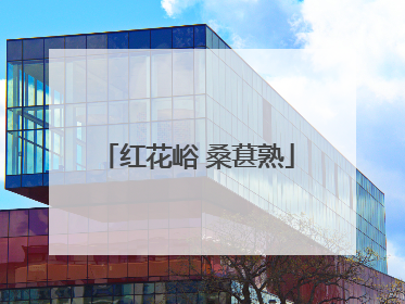红花峪 桑葚熟