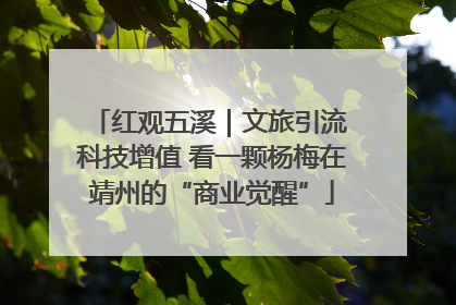 红观五溪｜文旅引流 科技增值 看一颗杨梅在靖州的“商业觉醒”