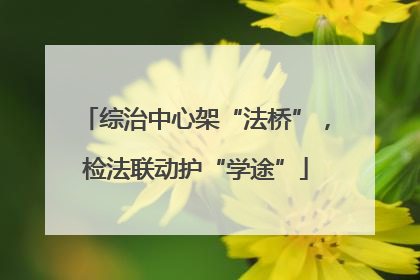 综治中心架“法桥”，检法联动护“学途”