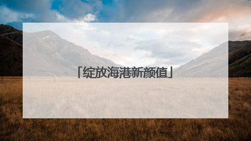 绽放海港新颜值