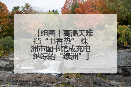 组图丨高温天难挡“书香热” 株洲市图书馆成充电纳凉的“绿洲”